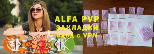 индика Карпинск